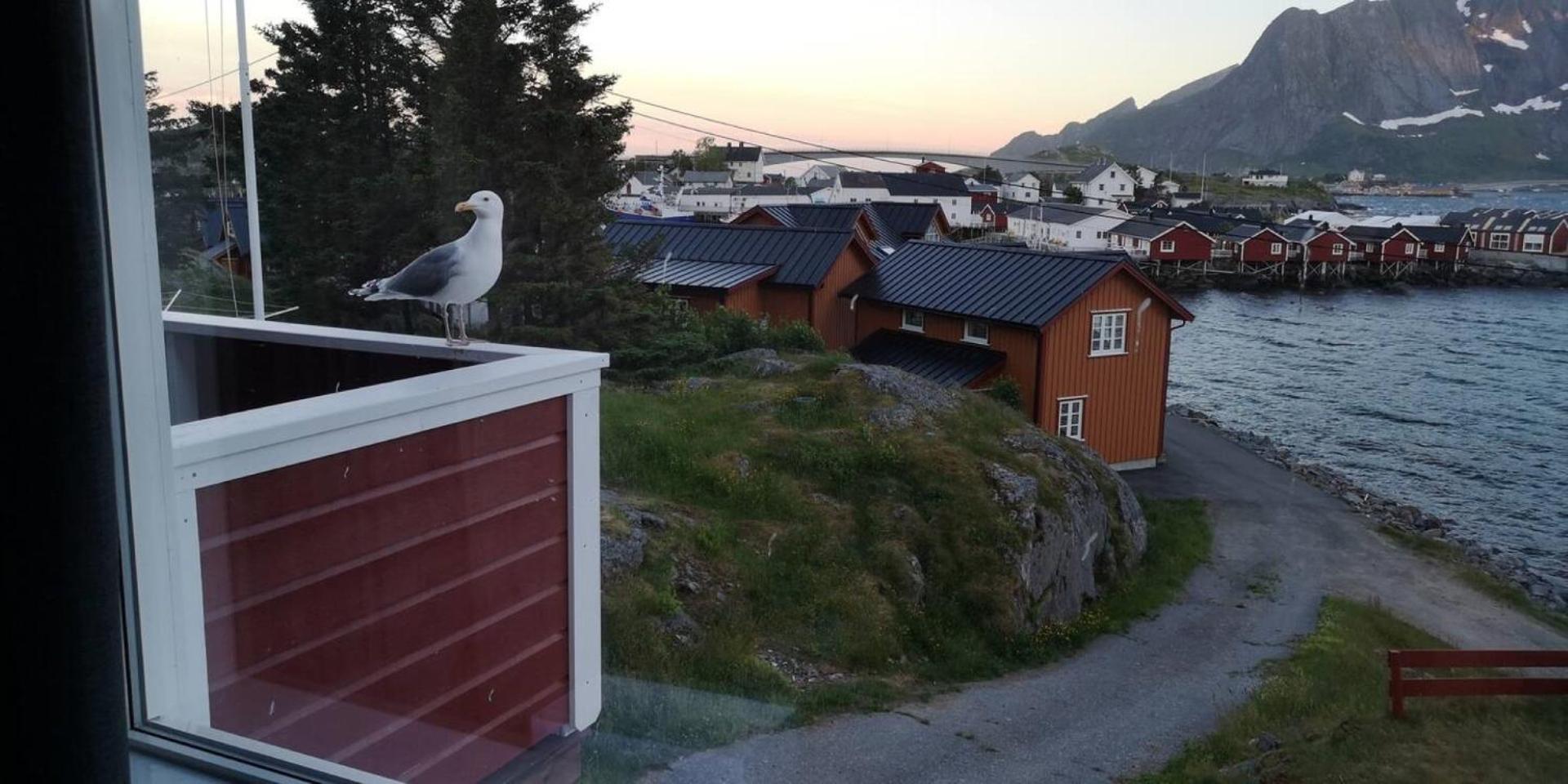 Lofoten Panoramic Luxury Home With Sauna Moskenes Exterior foto